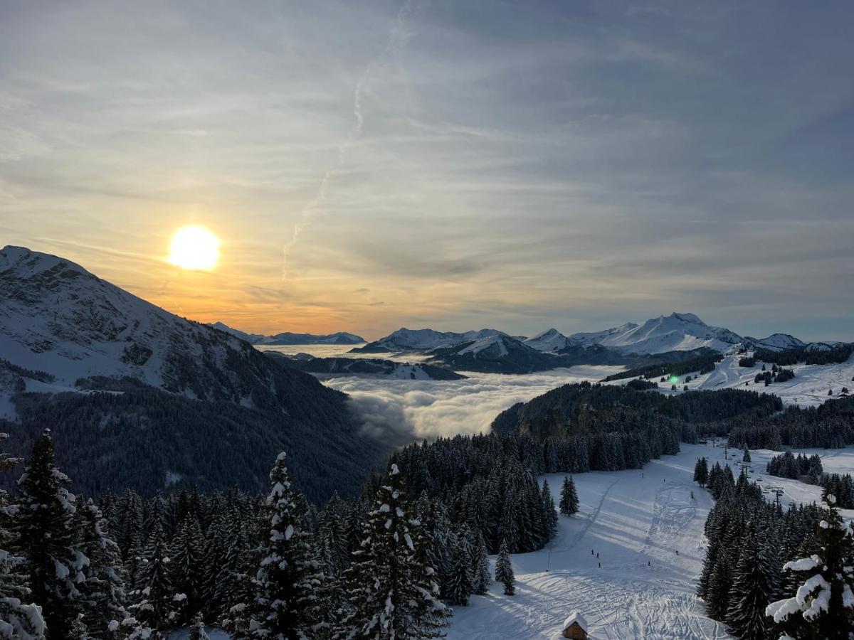 Avoriaz - Portes Du Soleil : Aux Pieds Des Pistes 莫尔济讷 外观 照片