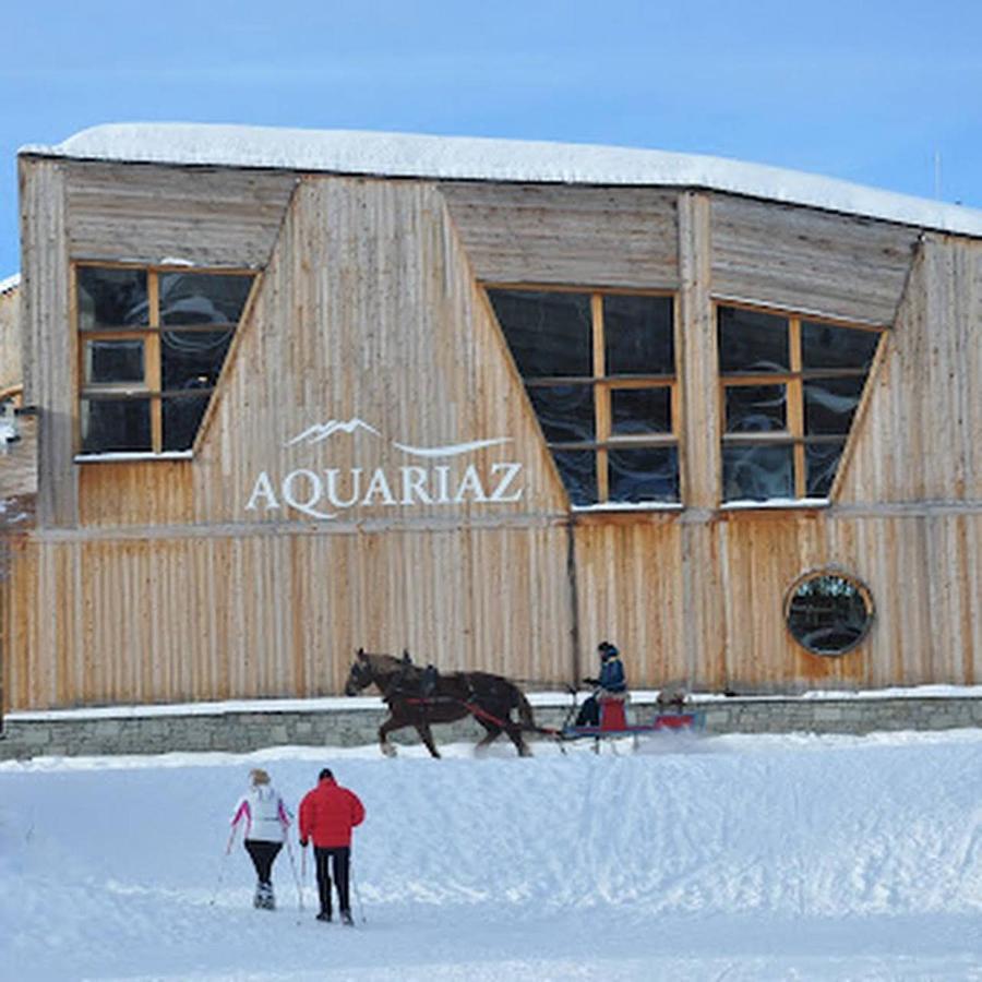 Avoriaz - Portes Du Soleil : Aux Pieds Des Pistes 莫尔济讷 外观 照片