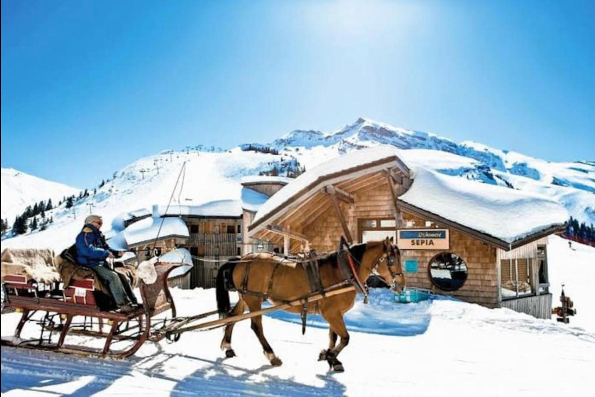 Avoriaz - Portes Du Soleil : Aux Pieds Des Pistes 莫尔济讷 外观 照片